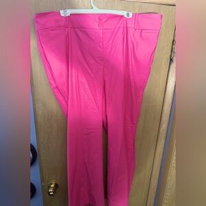 Lane Bryant Pants